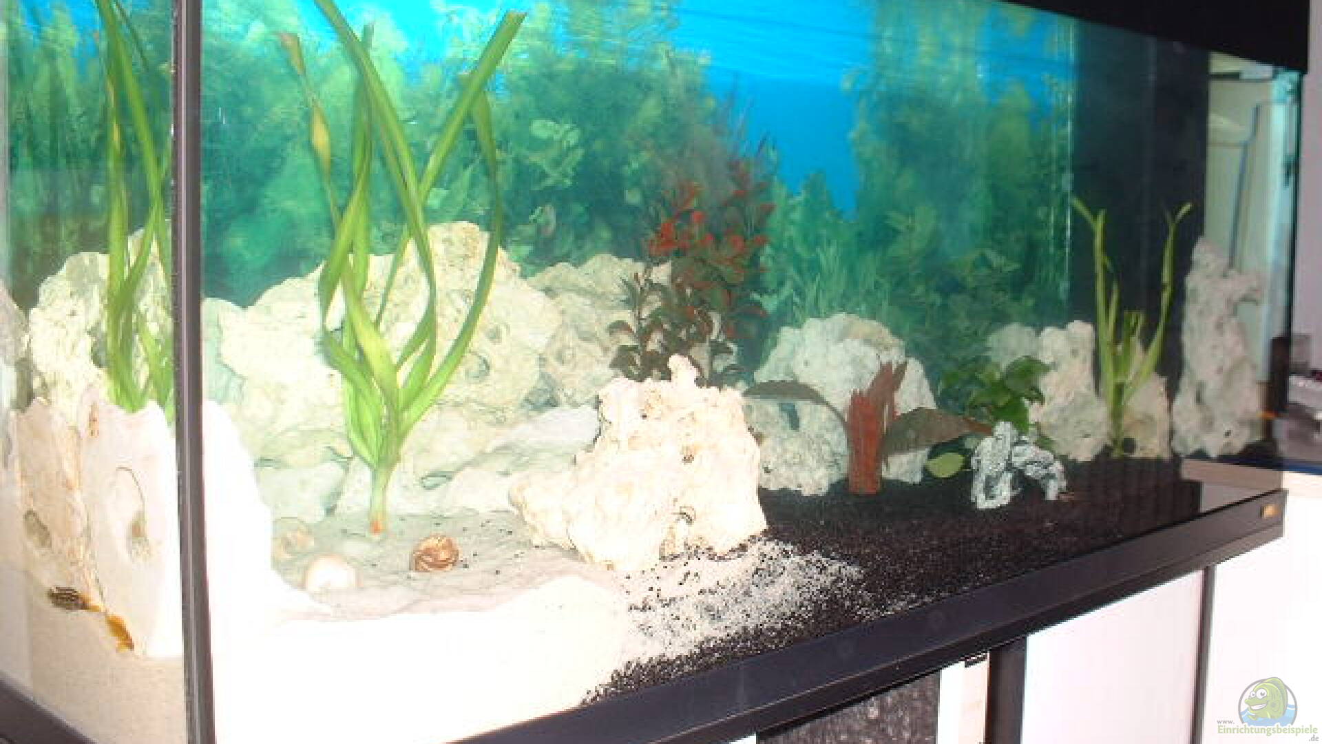 Quarzsand Alle wichtigen Infos