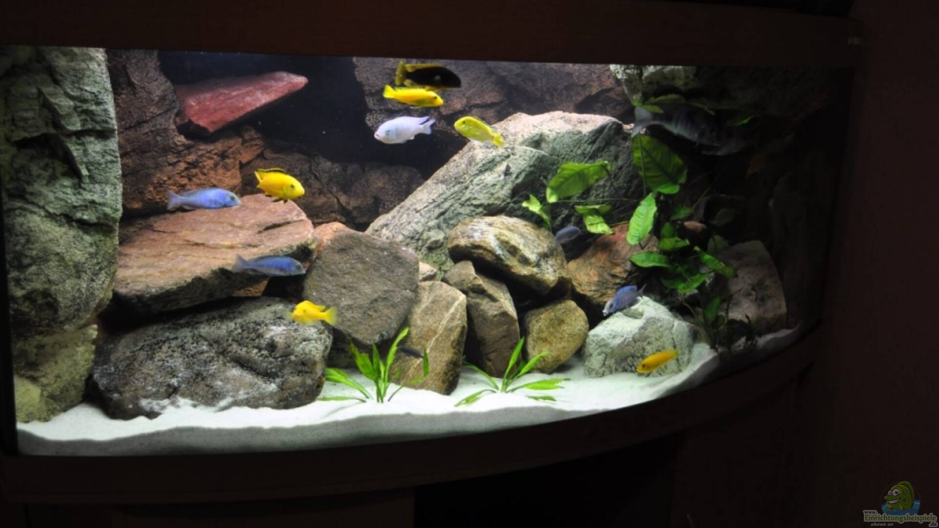 Back To Nature Alle Wichtigen Infos