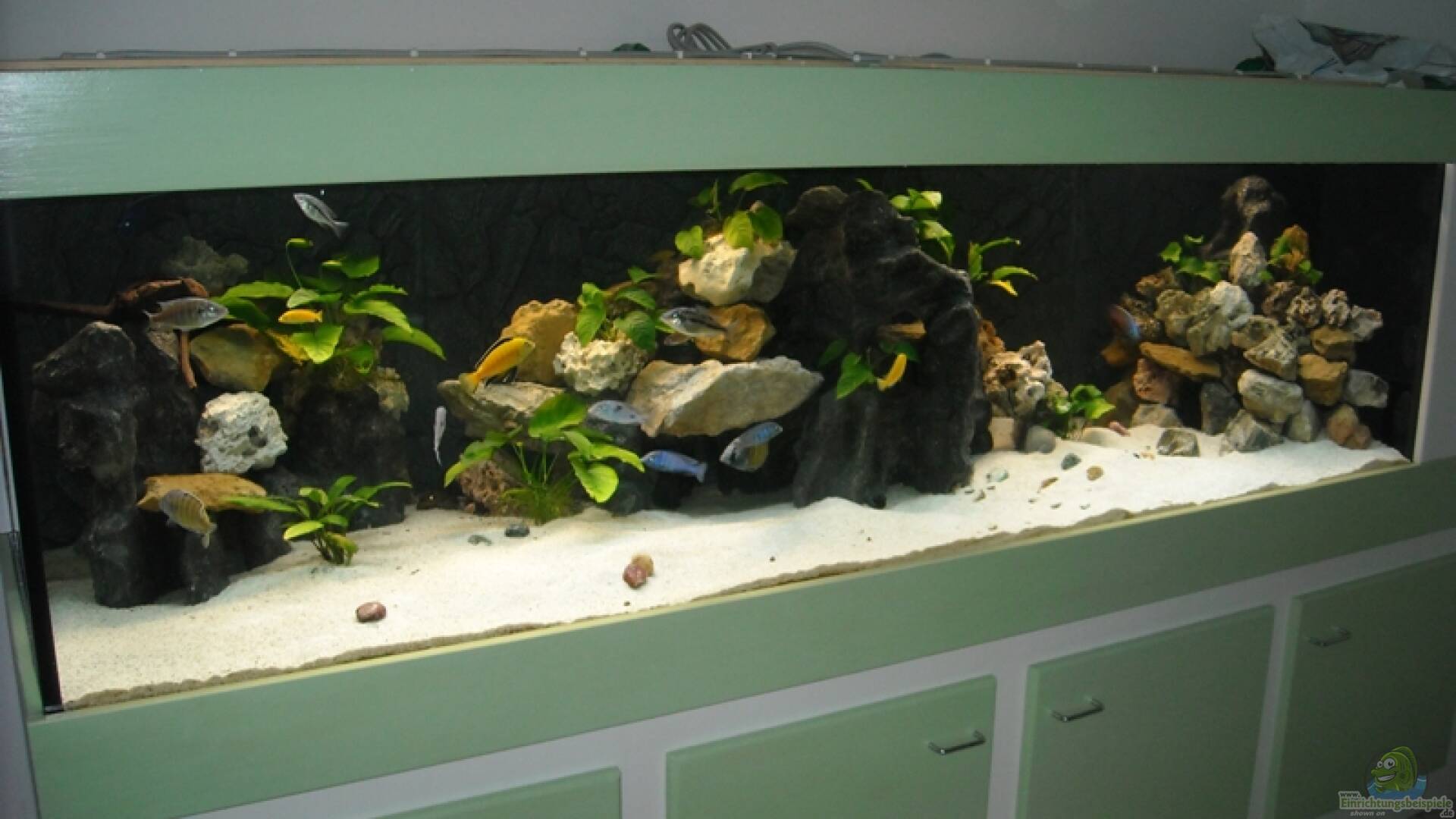 Sand Alle wichtigen Infos Einrichtungsbeispiele