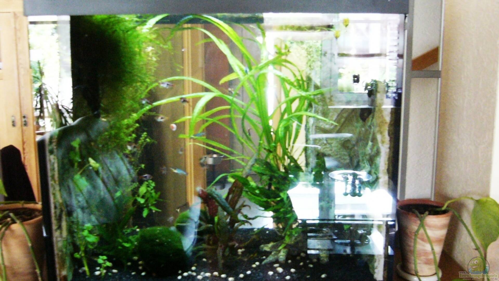 Raumteiler Alle Wichtigen Infos