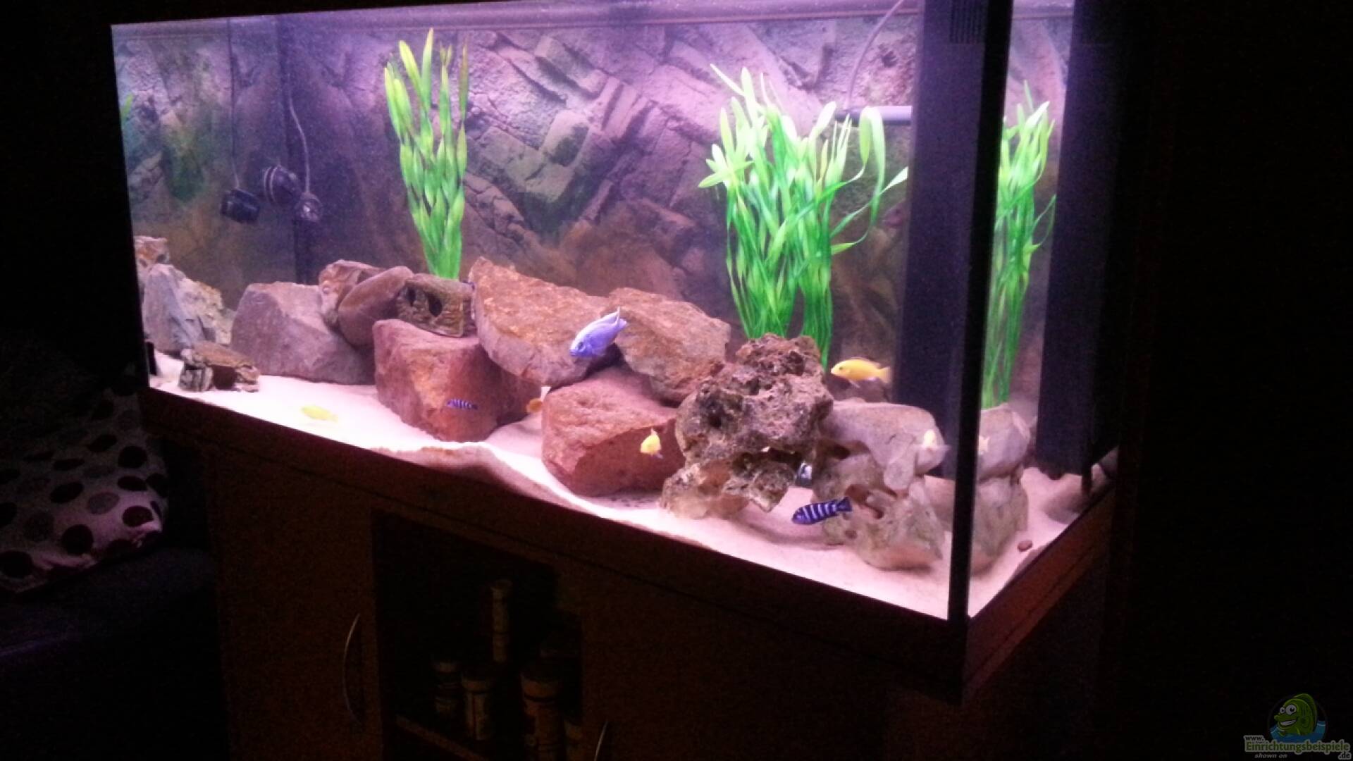 Juwel Rio Alle wichtigen Infos