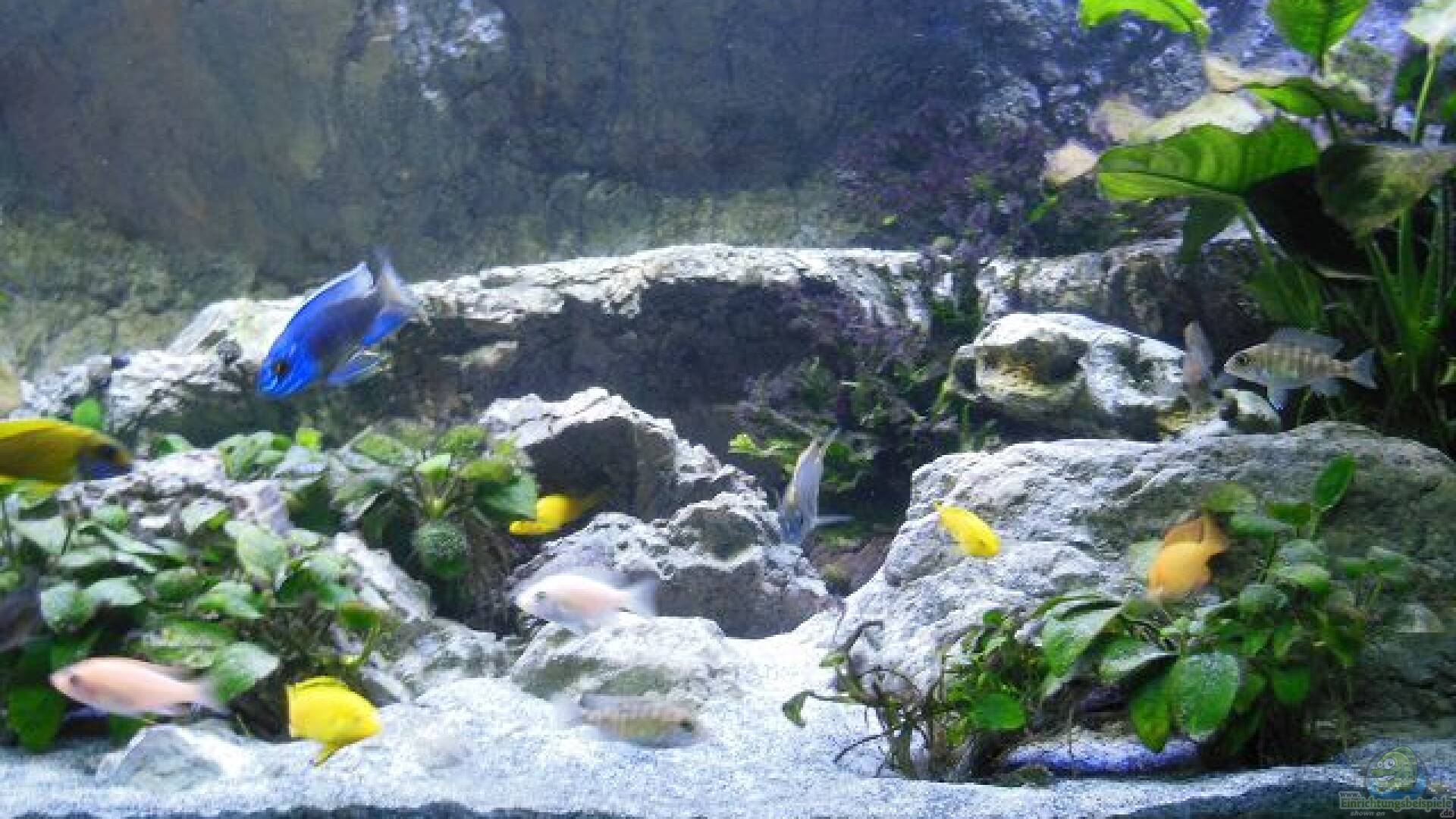 Sand Alle wichtigen Infos Einrichtungsbeispiele