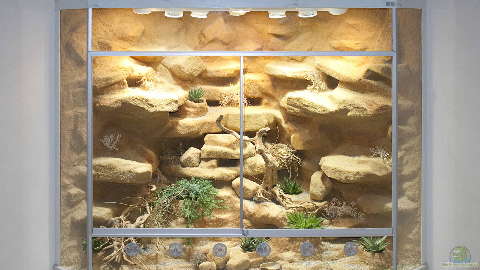 Terrarium einrichten Einrichtungsbeispiele