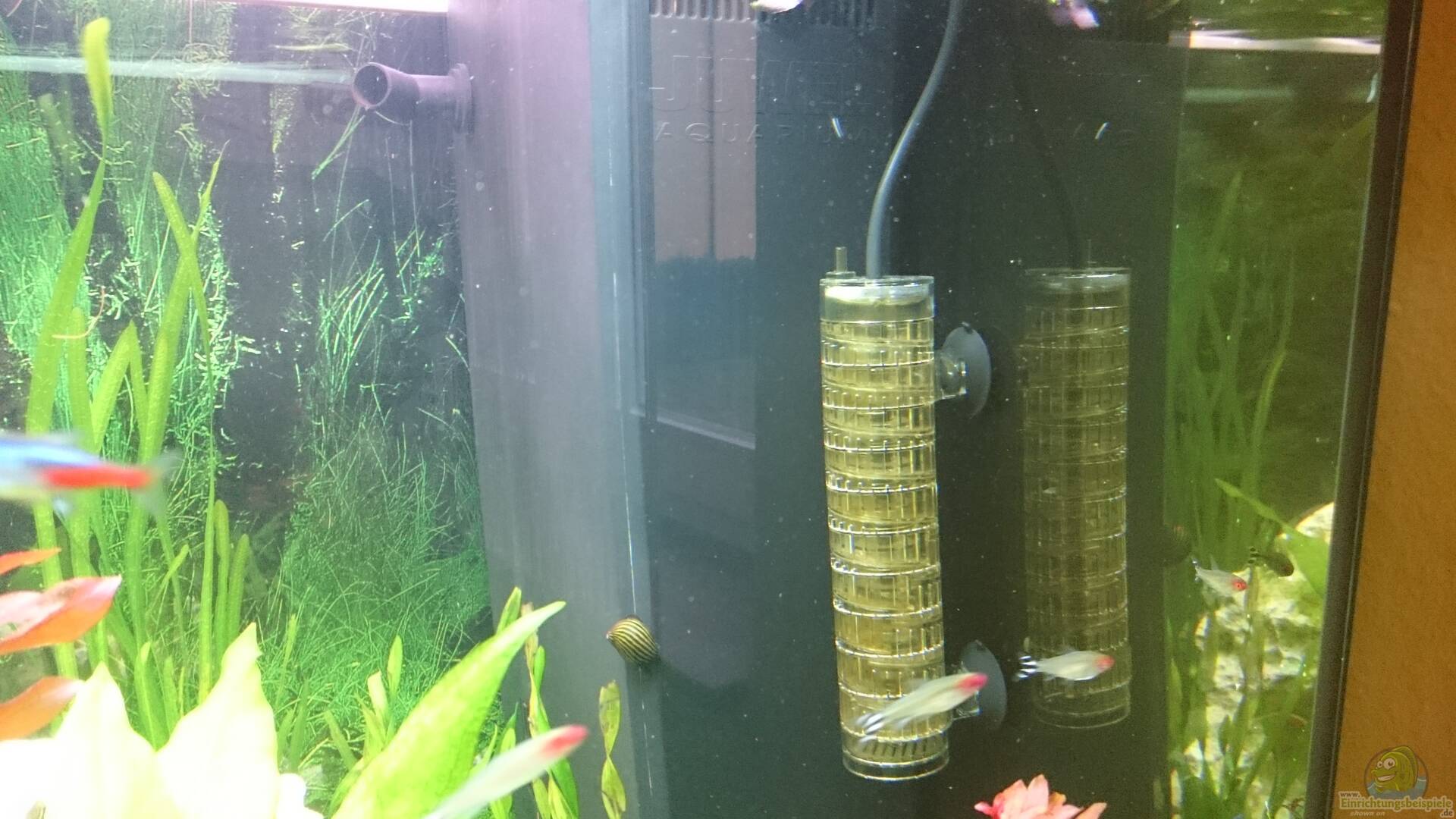 Bio Co2 Anlage Für 240 Liter Aquarium Bio-CO2-Anlage - Bio-CO2: Alle wichtigen Infos