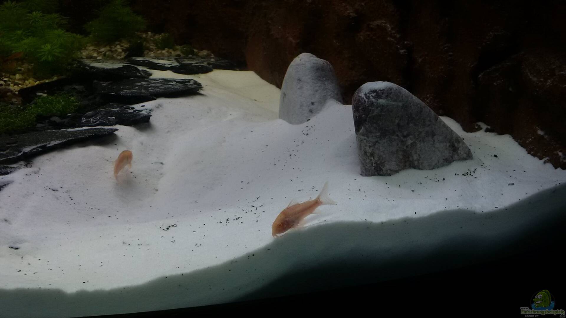 Sand Alle wichtigen Infos Einrichtungsbeispiele