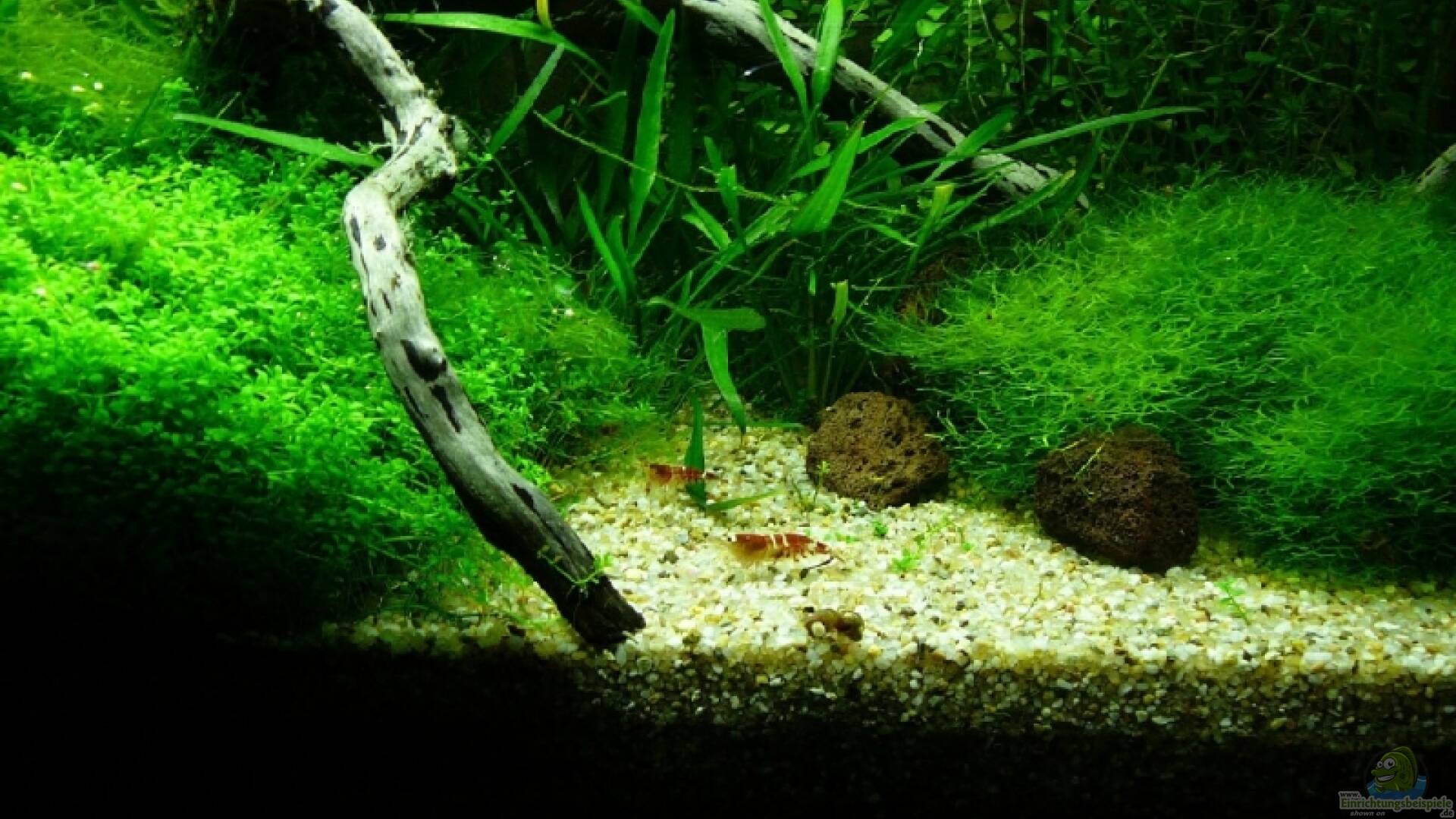 Sand Alle wichtigen Infos Einrichtungsbeispiele