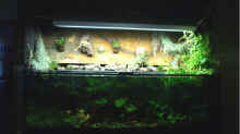 Aquarium Hauptansicht von Becken 1011