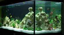Aquarium Becken 10326