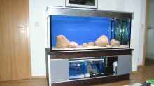 Technik im Aquarium Becken 10971