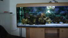 Aquarium Becken 1172