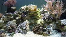 Aquarium Becken 12314