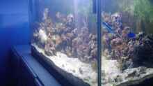 Aquarium Becken 12777