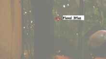 Filterpumpe (Fluval 3 Plus) und (Europet Mous) für Luftblasen