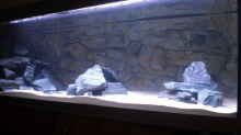 Aquarium Malawitank