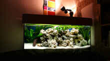 Aquarium The Wall