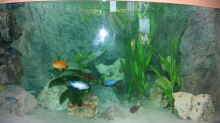 Aquarium Juwel Trigon 350