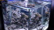 Aquarium NanoReef
