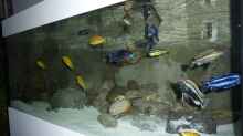 Aquarium Becken 16993