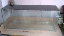 Glasstege für Hmf eingeklebt und Rückwand aussen schwarz lackiert