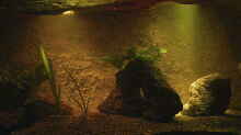 Aquarium Hauptansicht von Höhlenbecken