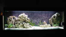 Aquarium Hauptansicht von Becken 178