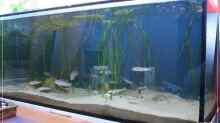 Aquarium Sonnenbank