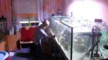 Aquarium 1260 Liter Meeresaquarium