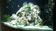 Aquarium Becken 223