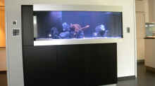 Installation des Aquarium