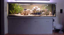 Aquarium Hauptansicht von Becken 234