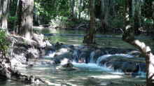 Hier ein Zufluss zum berühmten Crystal Pond in Krabi