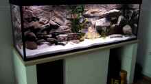 Aquarium Becken 2429