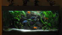 Aquarium Hauptansicht von Becken 254