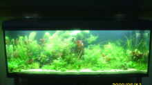 Aquarium Hauptansicht von Becken 25448