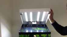 Technik im Aquarium Nano Cube 60l
