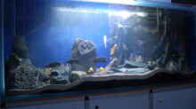 Aquarium Blauer Felsen