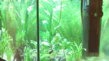 Aquarium GreenWorld