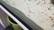 Quarzsand  0.1/ 0,3 mm 4-5 cm hoch ( 55 kg )