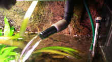 Filterauslauf hinten angebohrt so daß eine leichte Strömung den Flipper umgibt.