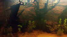 Aquarium Juwel Rio 400