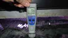 PH Messung: gemessen wird immer einmal vor und einmal nach dem Wasserwechsel