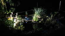 Teich mit Beleuchtung in der Nacht