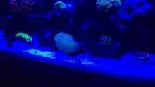 Aquarium Fluval Reef M90