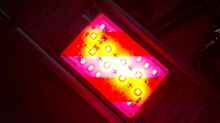daytime matrix 20.1 UBRW RED LED MODUL
