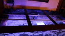 Aquarium Becken 31106