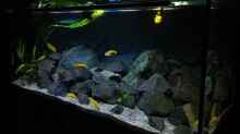 Aquarium Becken 32694