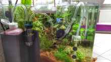 Dennerle CO2 Pflanzen-Dünge-Set BIO 60 mit Ventil für manuelle Nachtabschaltung