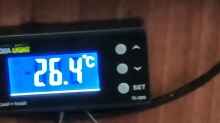 Aqualight Temperatur-Controller