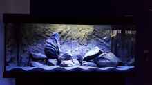 Aquarium Black Stone Tank