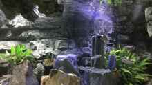Aquarium Tanganjika Cavern